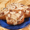 colomba-ostertaube