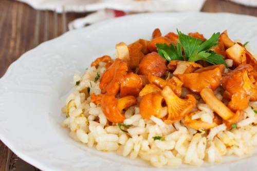 risotto-mit-frischen-pfifferlingen